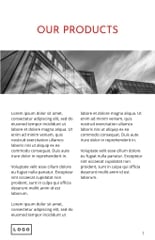 Free brochure – it consulting template